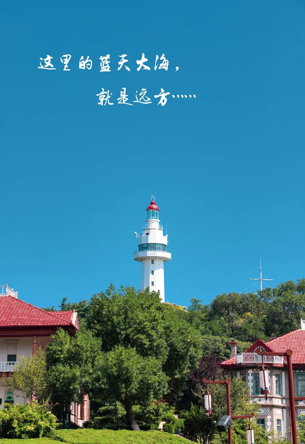 我要在这个地方,拍一组烟台大片!