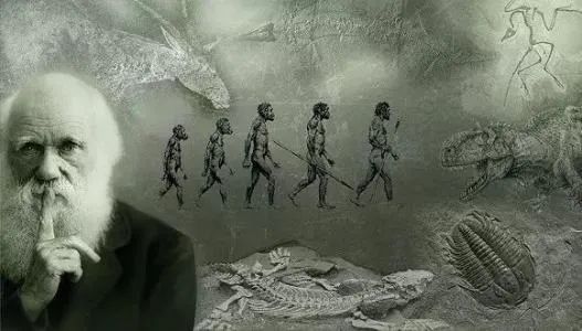 达尔文在《物种起源》中首次提及这个观点,后来他在《人类起源及性