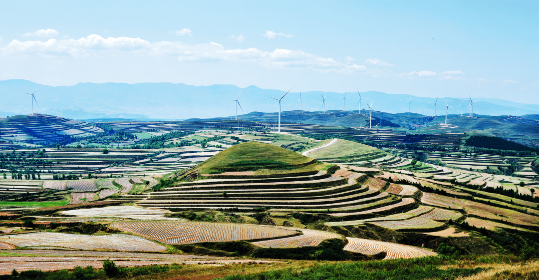 神池县田野中的风电美景