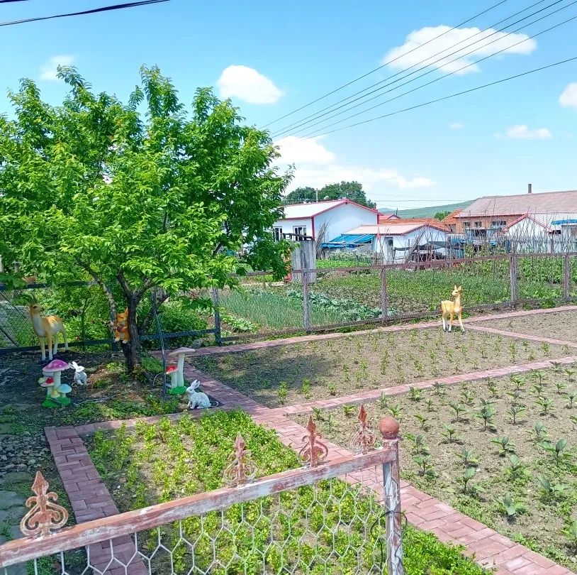 全省巾幗生態小菜園鄉村振興大戰略現場推進會即將在雞西召開