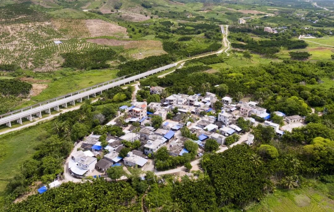 三亚抱古村:让乡村的美丽风景变钱景