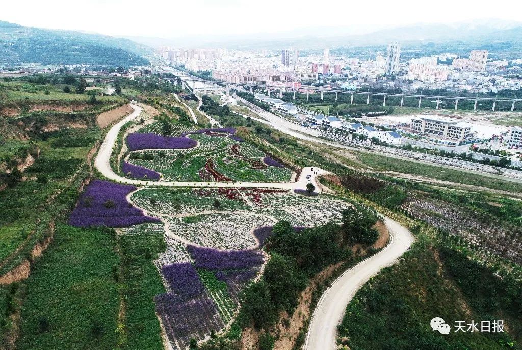 康养清水渐行渐近清水县生态建设成效综述