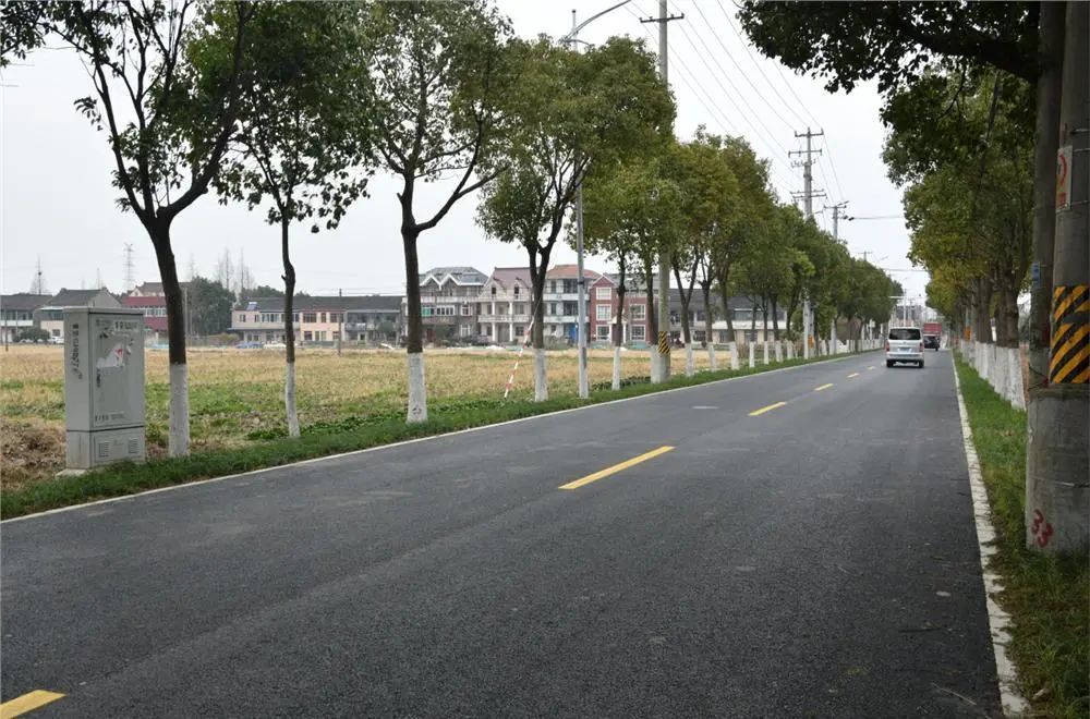 城市乡村空间蝶化奉贤最美乡村路由你决定