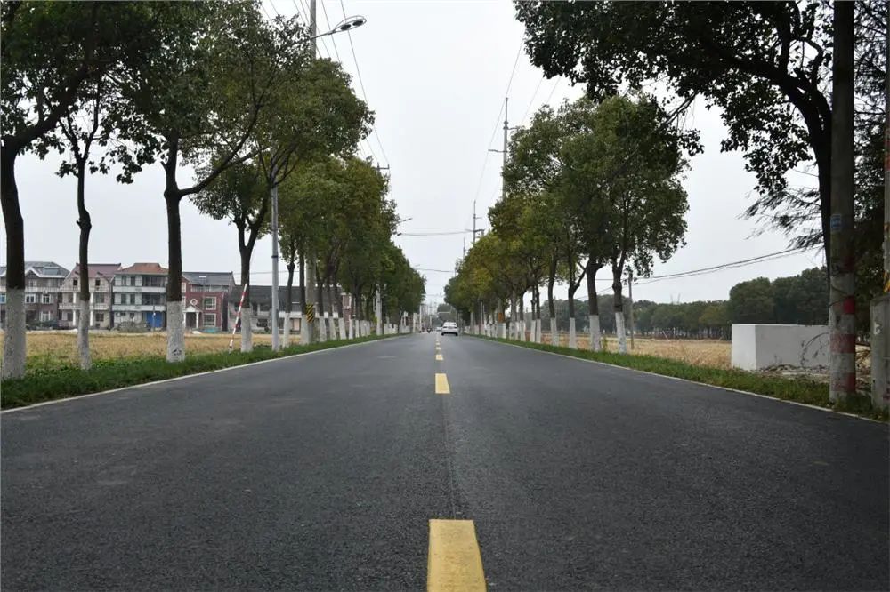 城市乡村空间蝶化奉贤最美乡村路由你决定