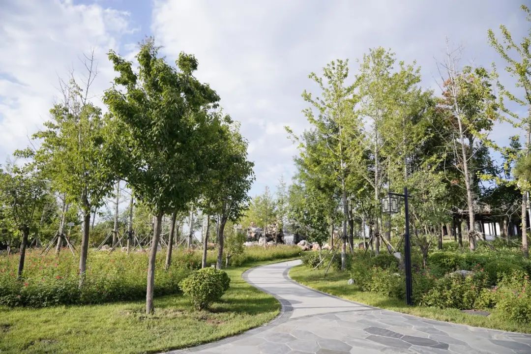 【冀在心上的小幸福】初秋的藁城区兴华公园更有韵味