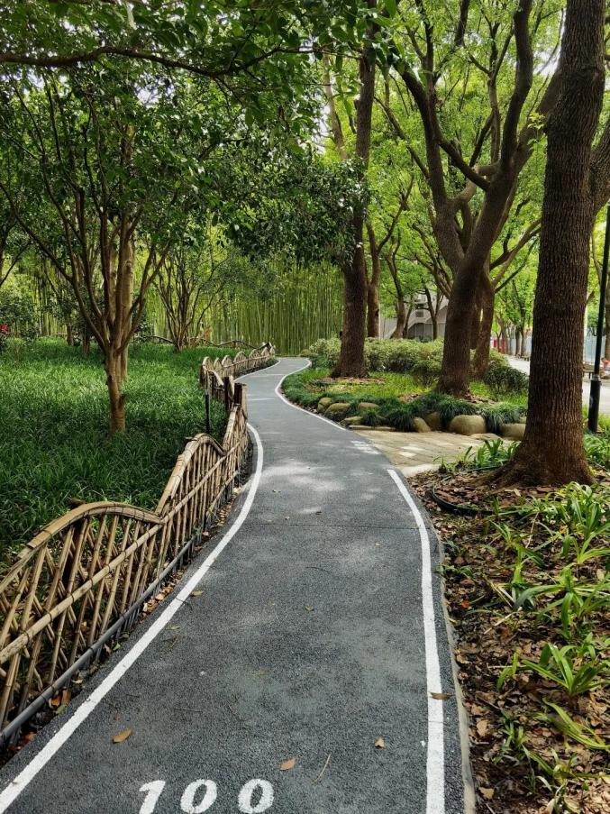 古城公园打造全新竹林步道,雨中漫步也不愁啦