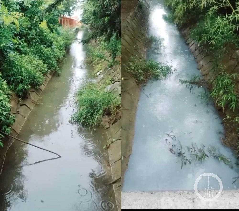 被举报排污的食品厂厂区两边河道同时段对比:左侧河道未污染,右侧河水