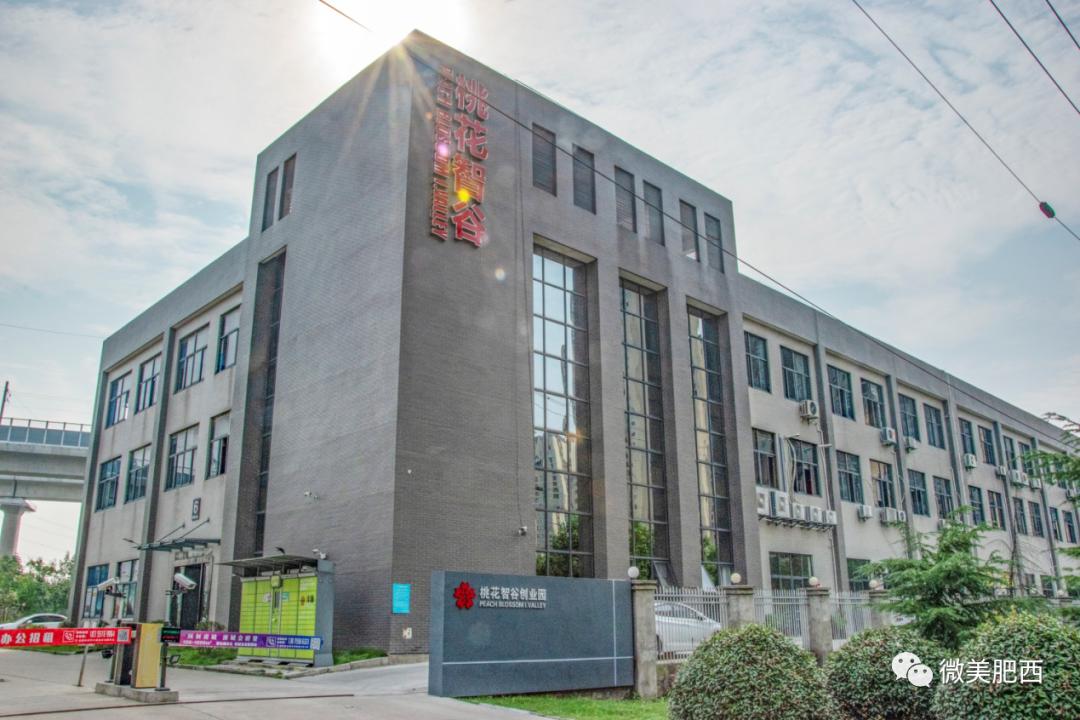 肥西量身定制精准施策稳就业