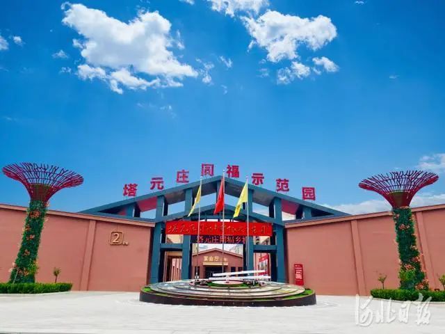 乡村振兴看这里正定塔元庄村企合作蹚出田园生金新路子