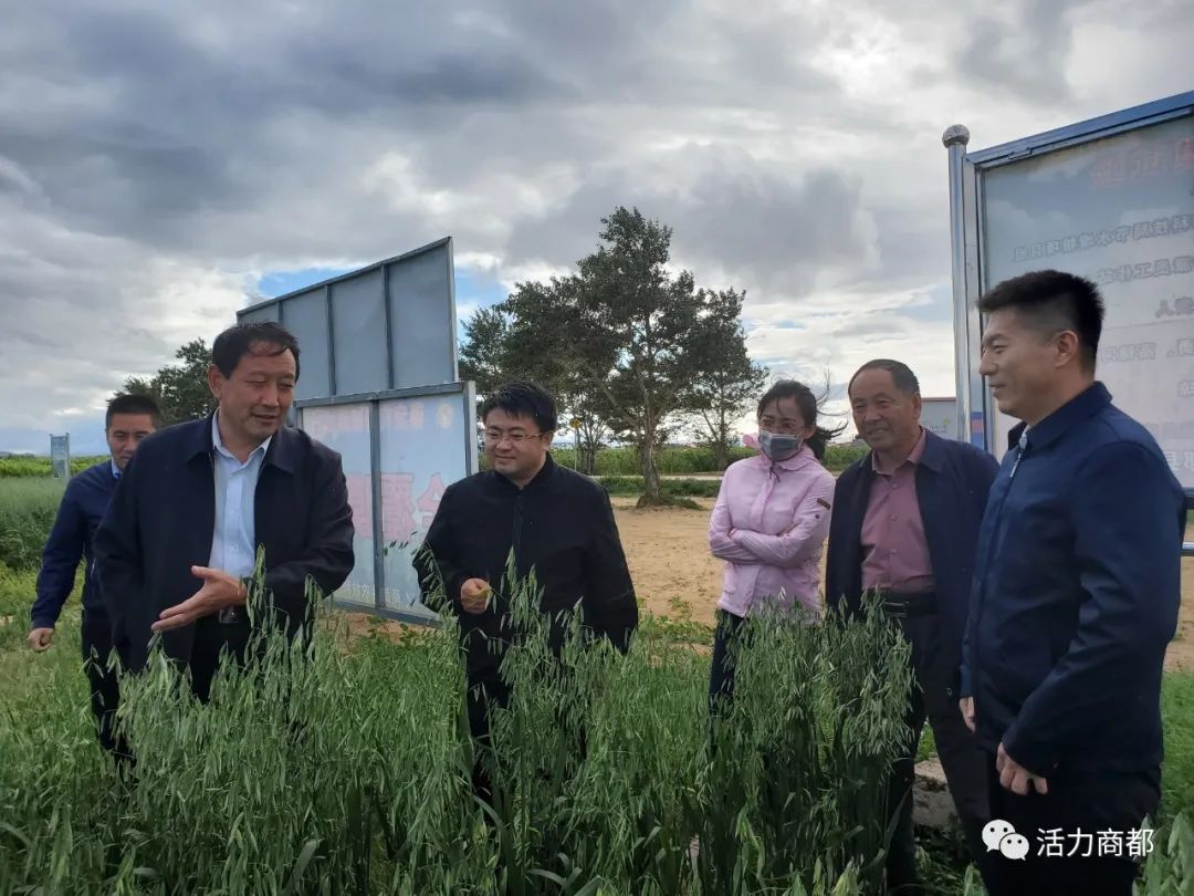市政府副秘书长市乡村振兴局副局长李晓光来商都县调研