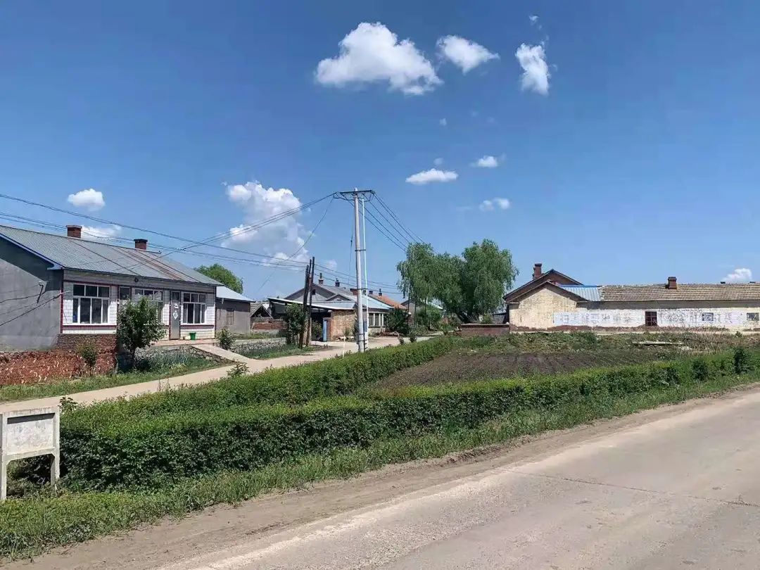 用绿植在路边描画几何图形,艺术气息爆棚鸡西梨树区 沿着小路右转