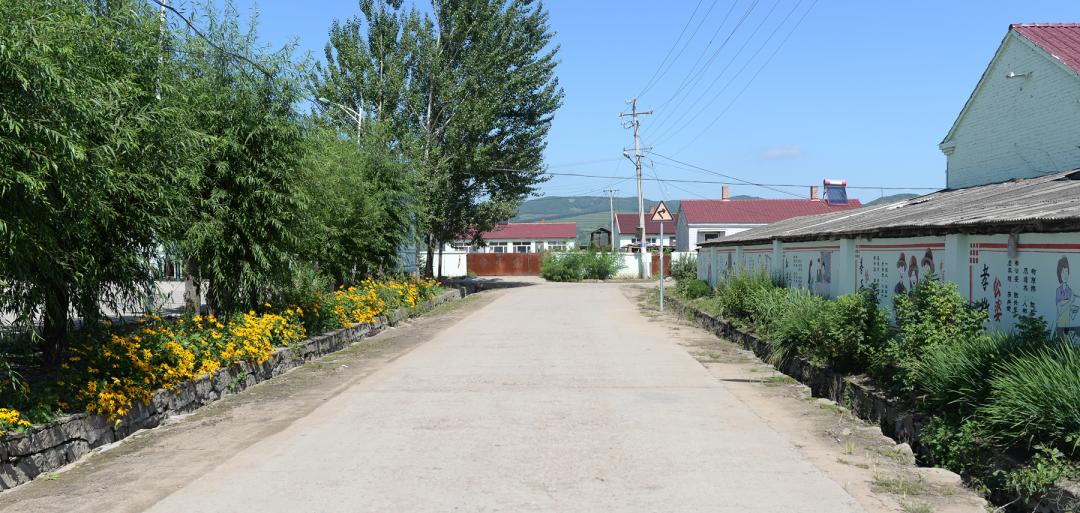 大兴安岭劲松镇绿植点缀的"t台"让我的人生时刻精彩七台河倭肯镇粉色