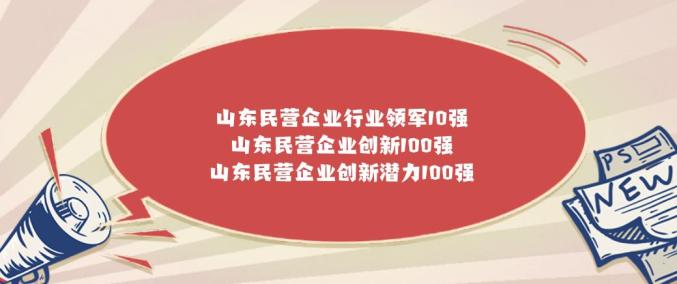 泰安康宇怎么样榜单公布！潍坊这些企业入围_https://www.jmylbn.com_新闻资讯_第2张
