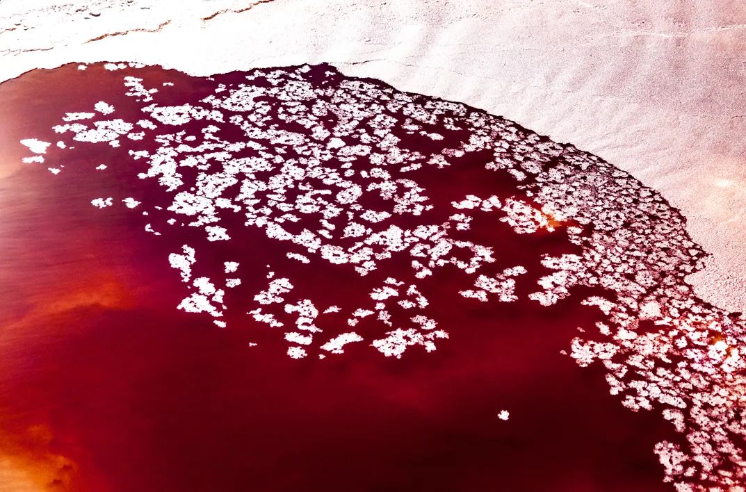 鲜有人知腾格里沙漠竟然有这么一片红海子实在太美了