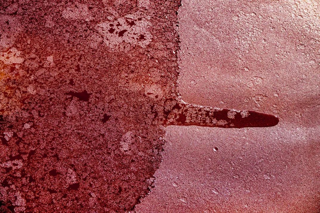 鲜有人知腾格里沙漠竟然有这么一片红海子实在太美了