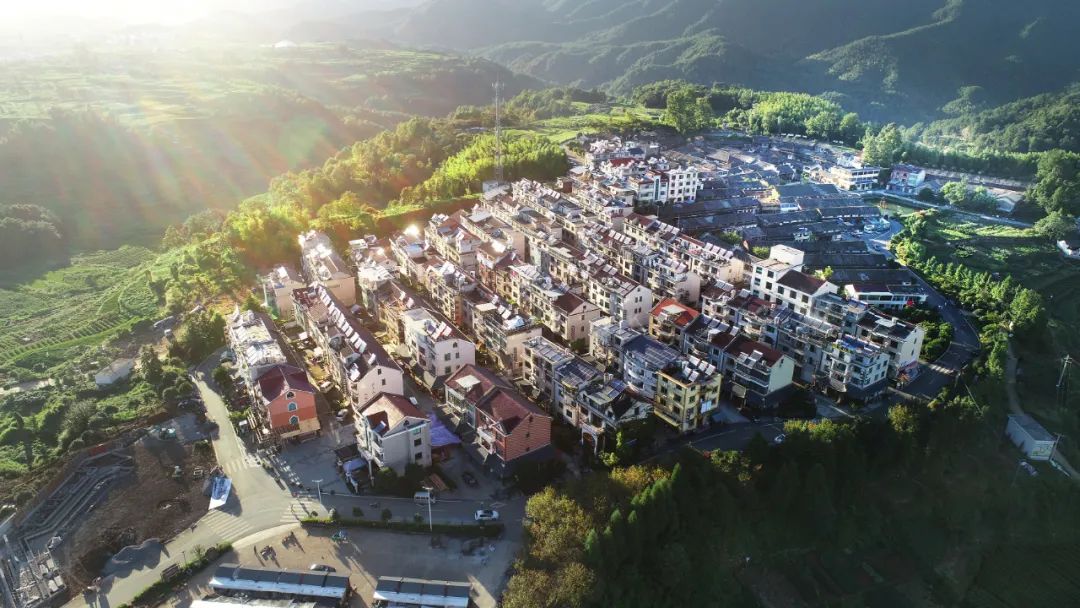 【百年百瞬 回望初心76】乌石村:深山小村的"点石成金"之路