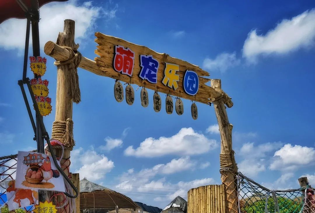 瞬间萌化你的心~十几种小动物家门口这个萌宠乐园厉害了就在你身边也