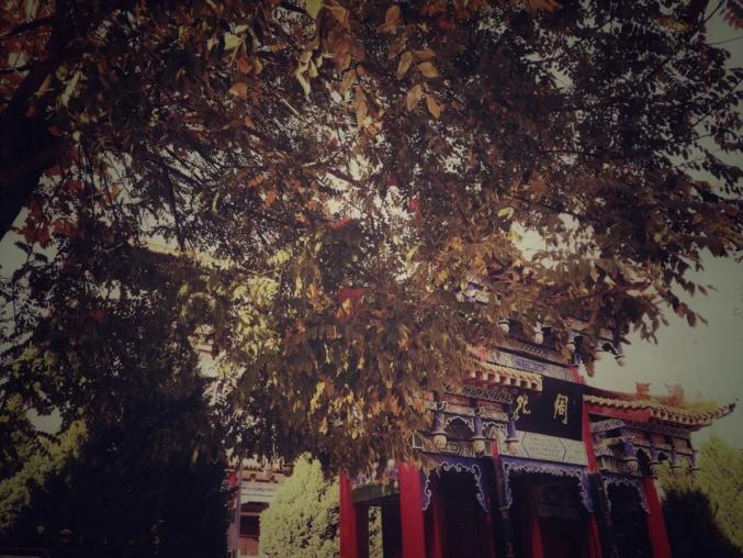 灵台,最美的秋……