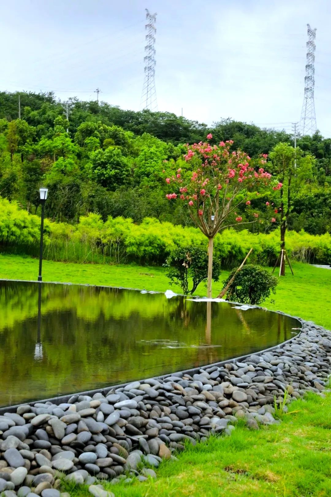 引进海绵城市理念渝北大寨生态公园打造科技园区的生态绿肺