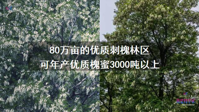 没有蜜蜂，90%的水果会消失，生态系统将崩溃 | 李建科