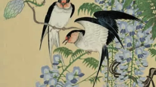 花鳥浮世繪36 日文翻譯x《北斎花鳥画集》動態之美- 翻譯公司分享