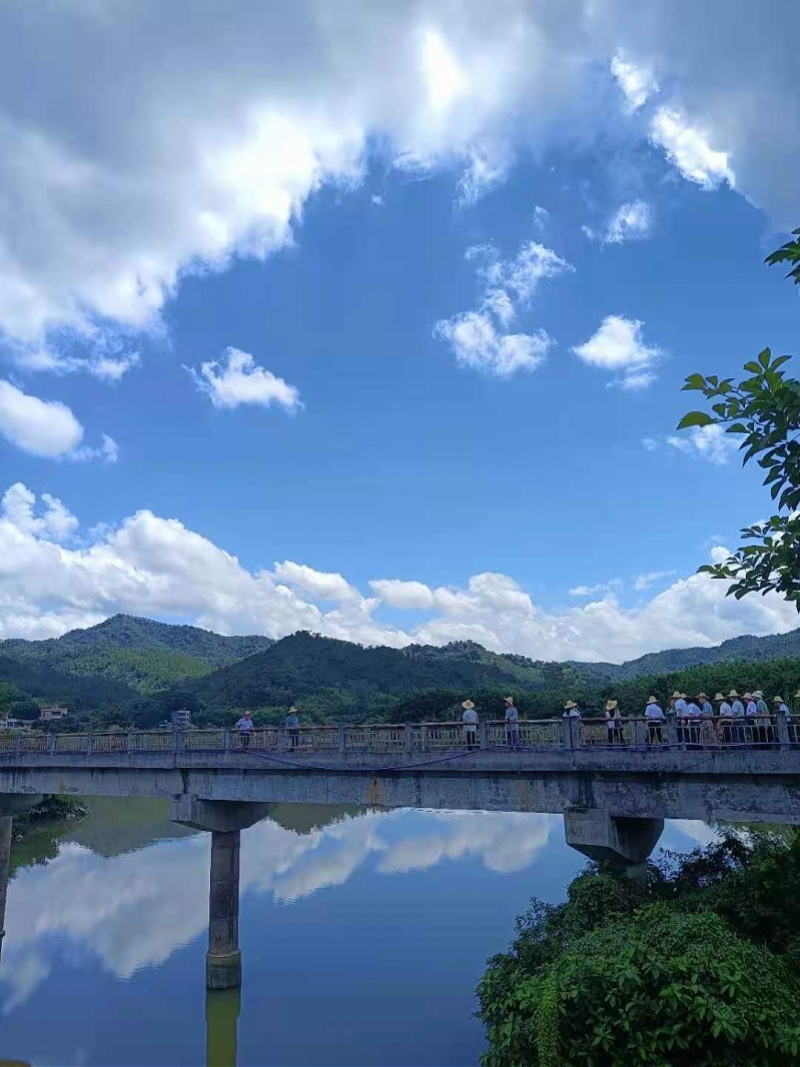 惠州芦洲镇拉开乡村振兴大幕,工作队刚入驻不久就迎来调研团