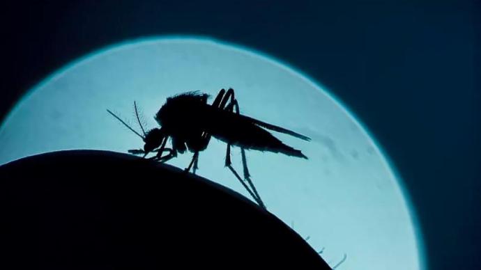 蚊虫叮咬药膏最有效？