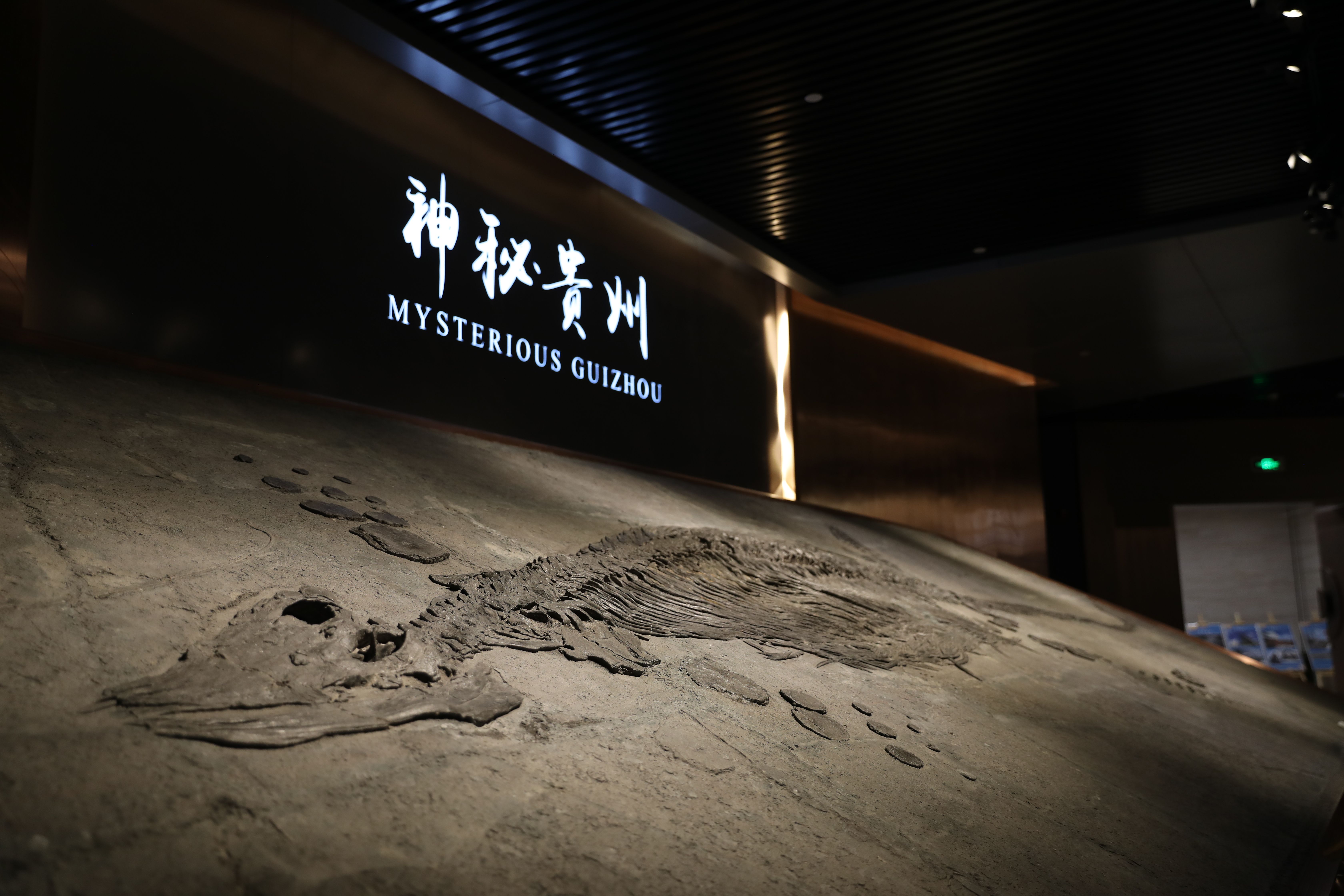 贵州省地质博物馆第一展厅6969随着观山湖区城市化水平和城市管理