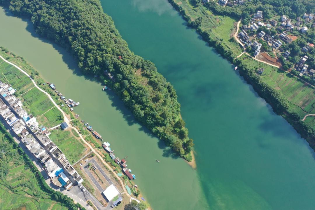 封开大洲镇亮相《乡村振兴大擂台》,快一起来为家乡打call!