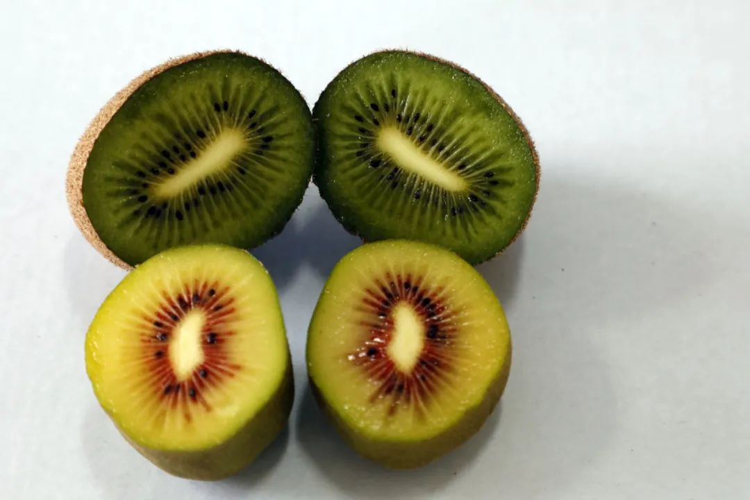 桃醉你心金山本地猕猴桃采摘正当时回头客达到95以上