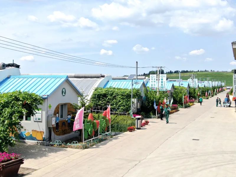 转型升级 长春发力|我市打造农村创新创业"升级版"