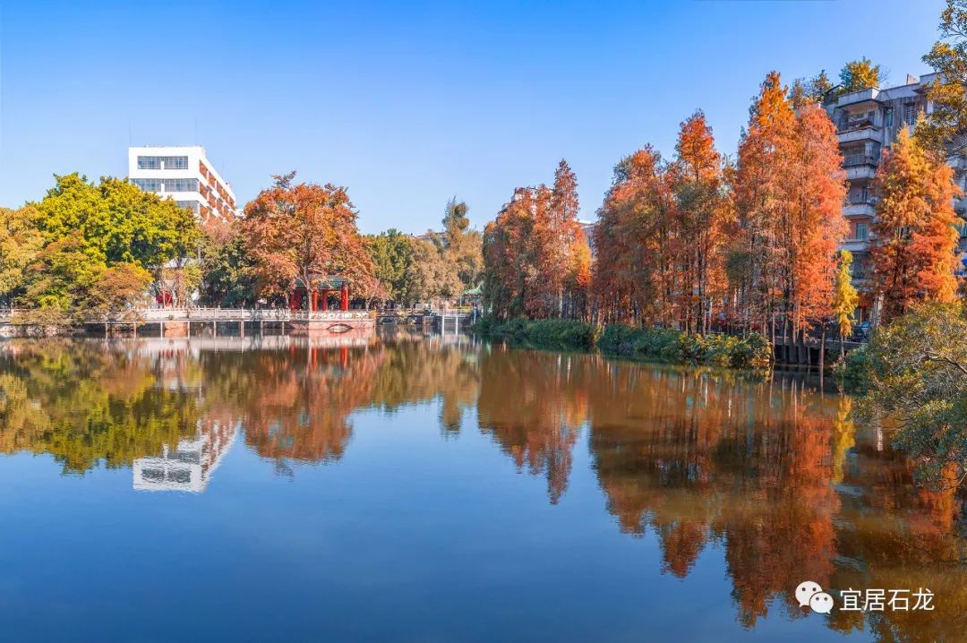 展现石龙更美城镇画卷彰显宜居之城魅力