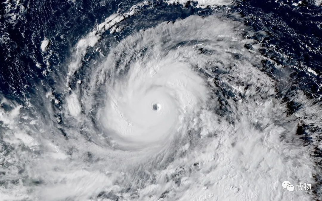 超强台风“山竹”为2018年太平洋台风季第22个被命名的风暴。“山竹”一名由泰国提供。由于“山竹”对菲律宾和中国华南造成严重影响，2019年2月，在台风委员会年度会议上，决定将“山竹”除名。据2020年8月8日中央气象台官网显示，命名表中“山竹”的名字已被“山陀儿”所取代。