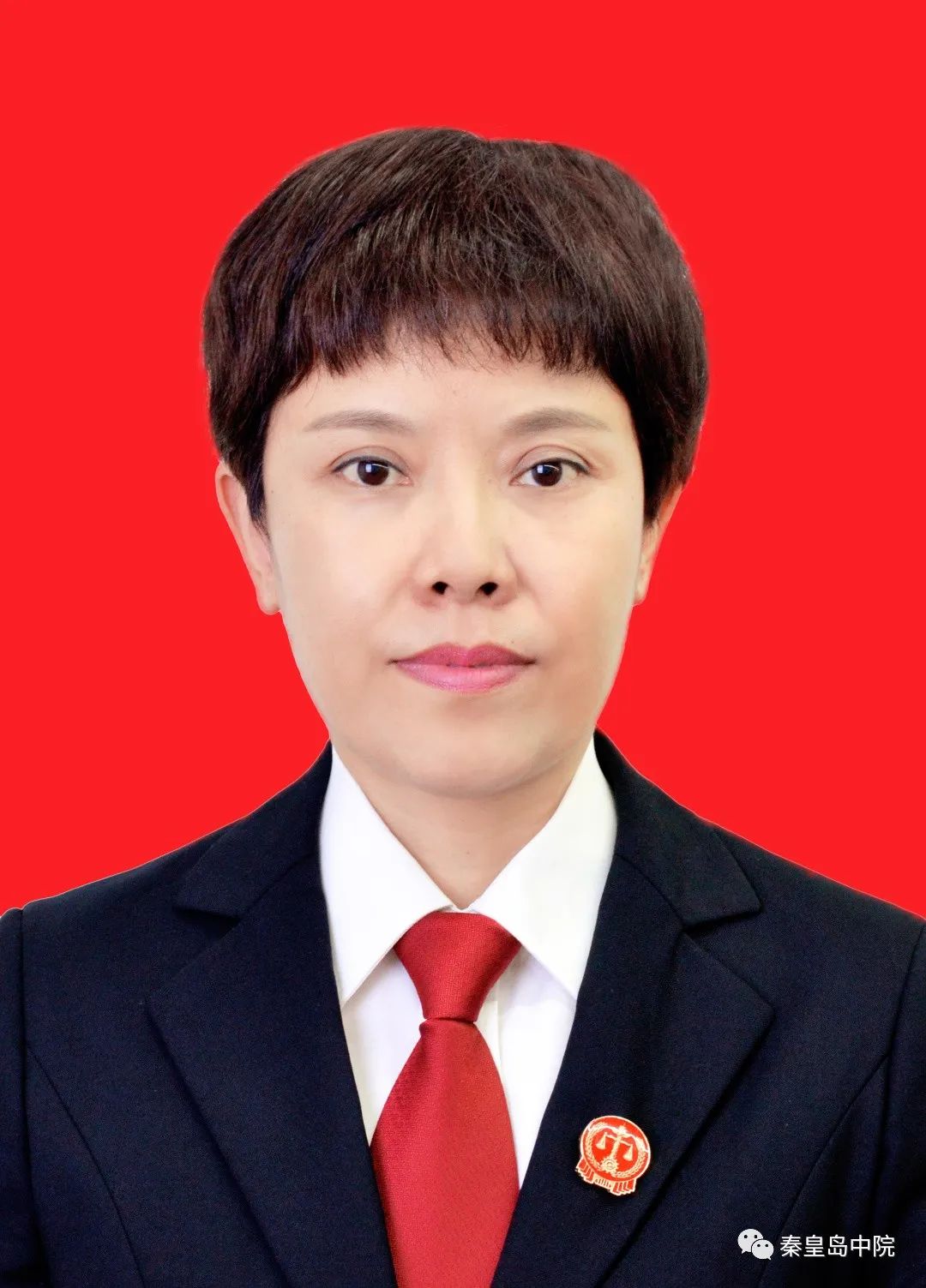 张莉当选秦皇岛市中级人民法院院长