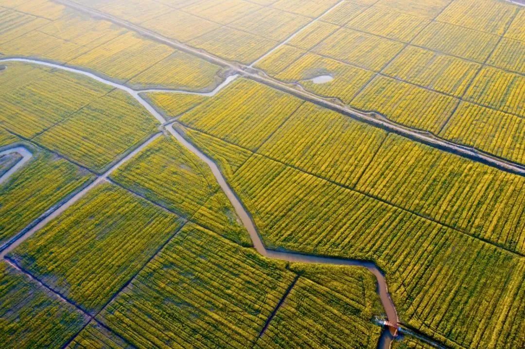 新乡贤工作进行时普陀区六横镇凝聚新乡贤力量多点发力跑出共同富裕加