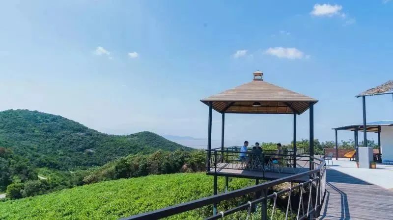 新乡贤工作进行时普陀区六横镇凝聚新乡贤力量多点发力跑出共同富裕加