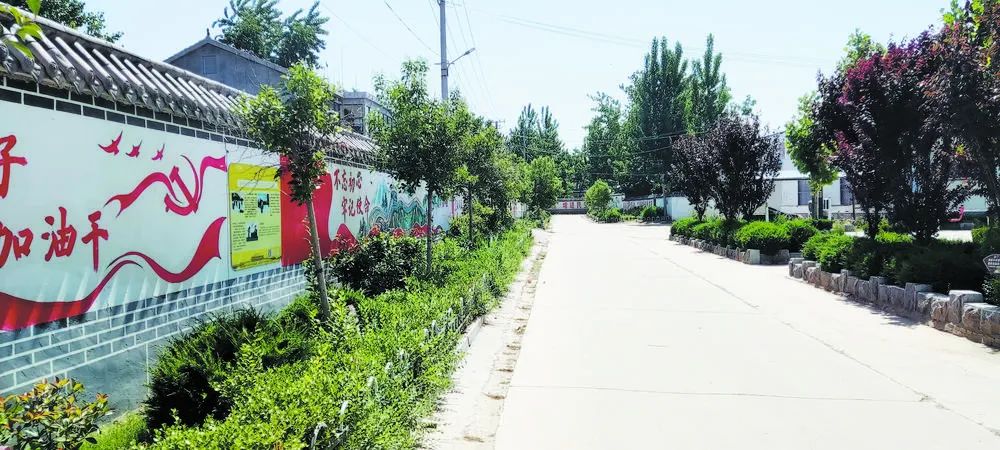 走百村看振兴鄄城县凤凰镇酒店张村田园美如画古村产业新