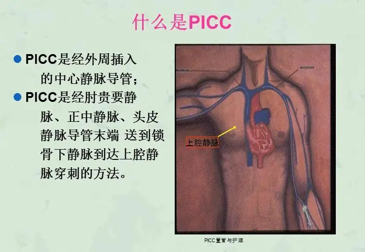 方便!这项保命的护理,松江这家医院可线上预约_澎湃号·政务_澎湃新闻-The Paper