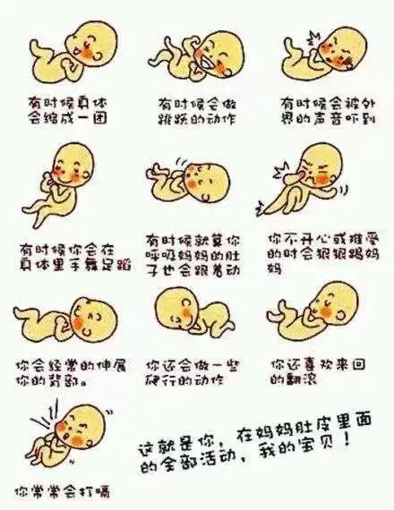 健康宝宝对您说的悄悄话数胎动您了解吗