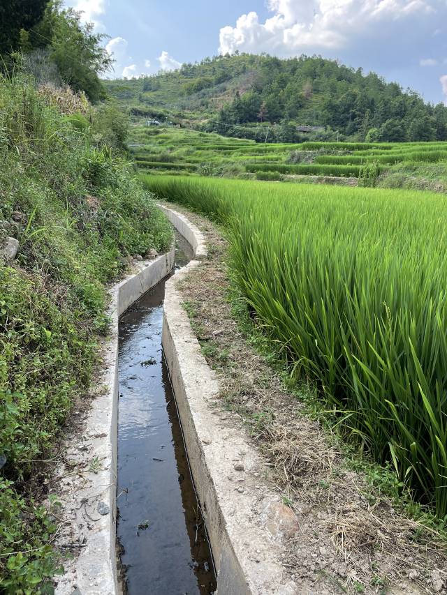 河源高标准农田盘活土地资源提速乡村振兴