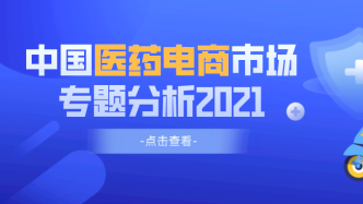 中国医药电商市场专题分析2021