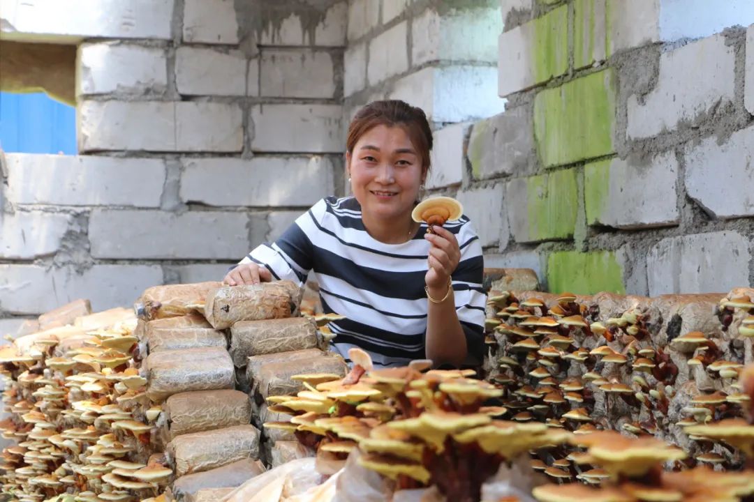 我是火炬手罗婵用我的阳光温暖我的乡亲