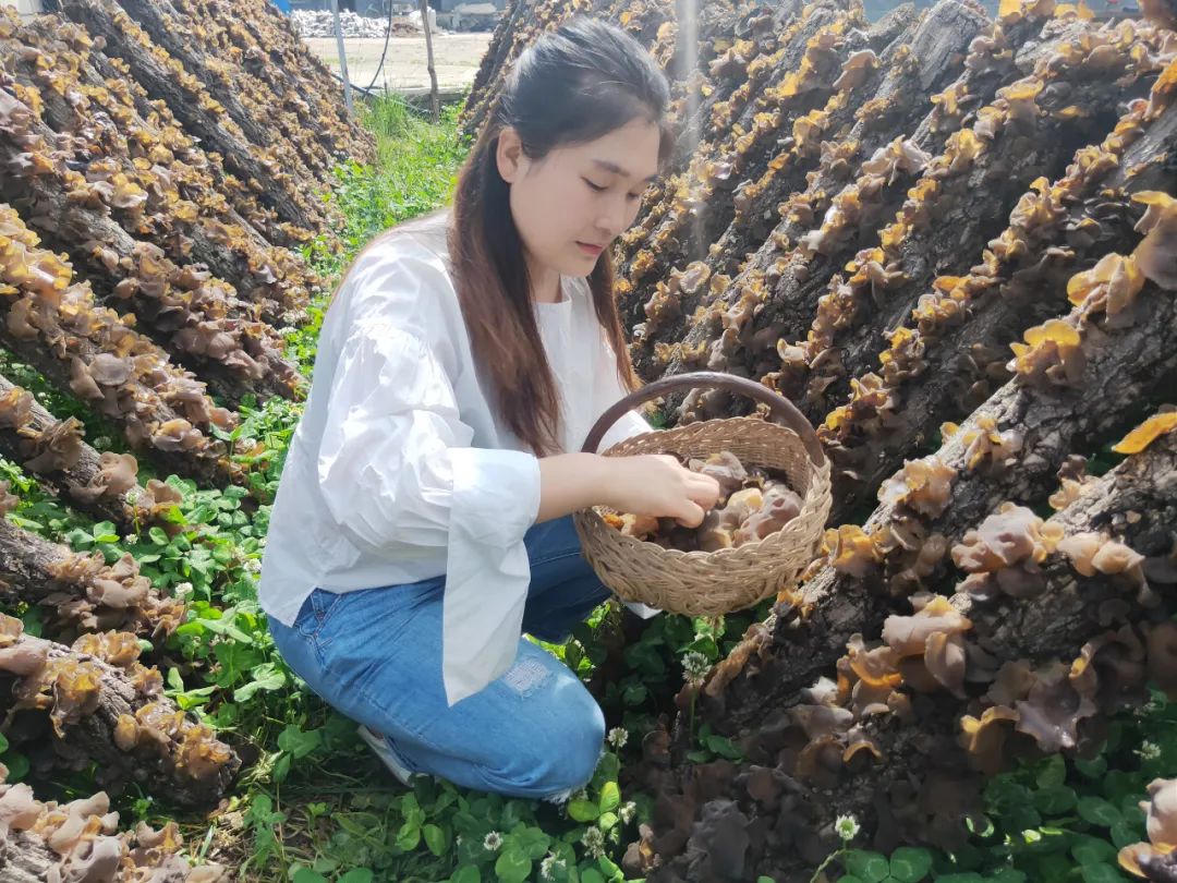 我是火炬手罗婵用我的阳光温暖我的乡亲