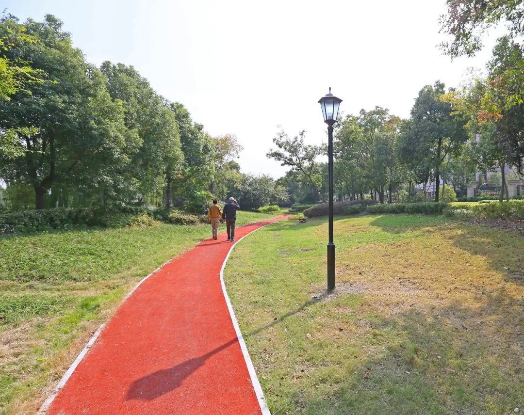 松江又添一条滨水健身步道散步吸氧赏景走起