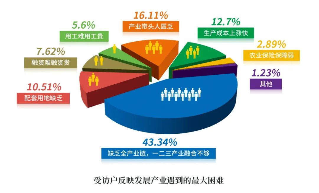 鹅致富养殖_养鹅能致富吗_养鹅致富经