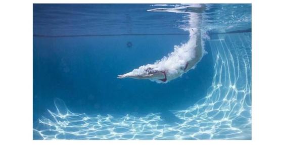 健康百科原来这才是中国跳水梦之队压水花的秘诀