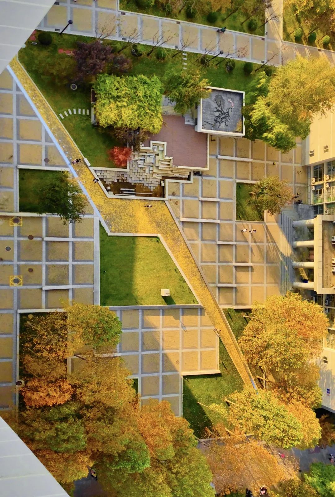 旋转90度这样的北林大你一定别错过