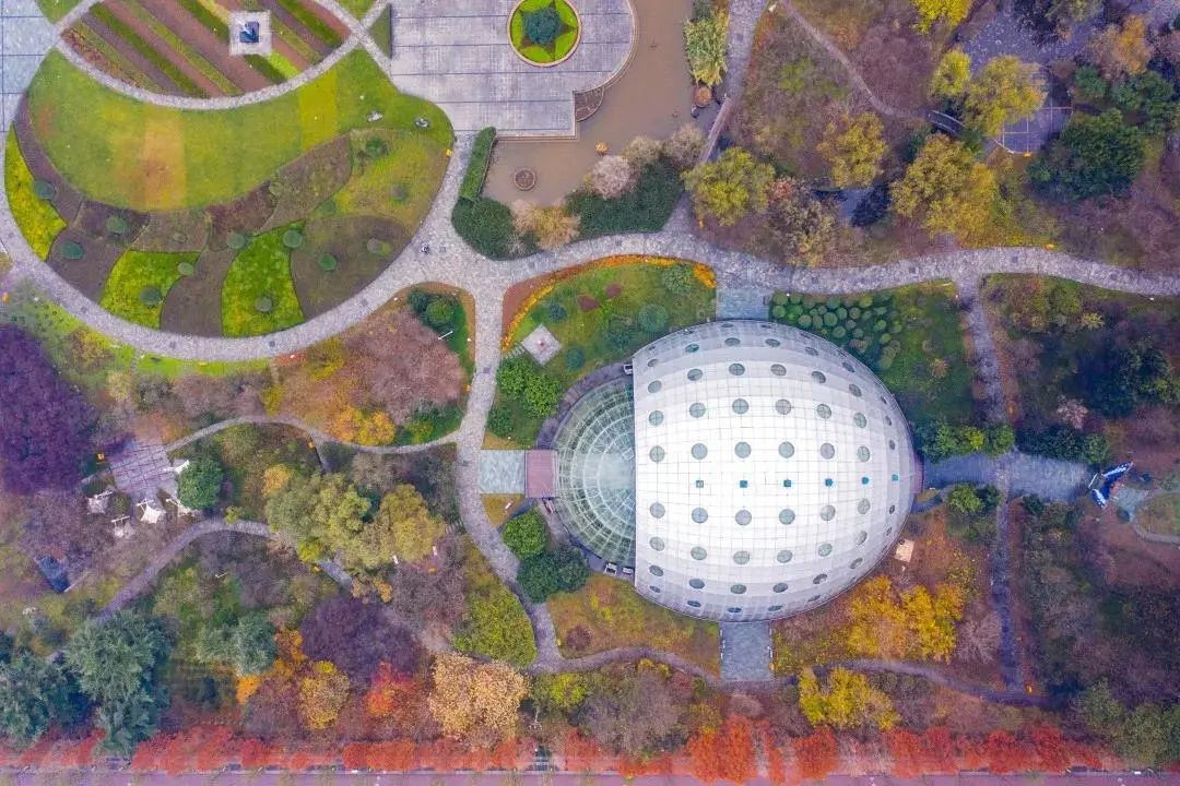 速收藏!西农生活全攻略!