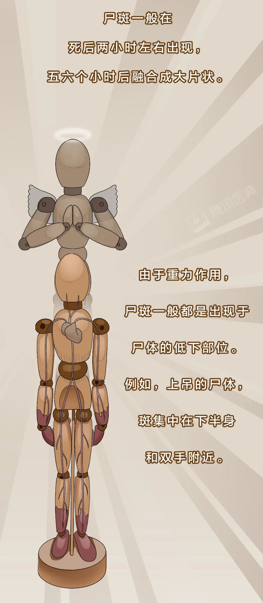 深夜楼道现女尸法医循尸斑2小时内侦破案件