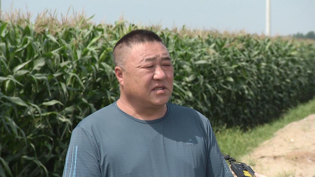 走生态路兴农牧业打文旅牌库伦旗高标准农田助力农业生产提质增效